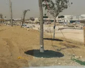 Education City Golf Course