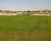 Education City Golf Course