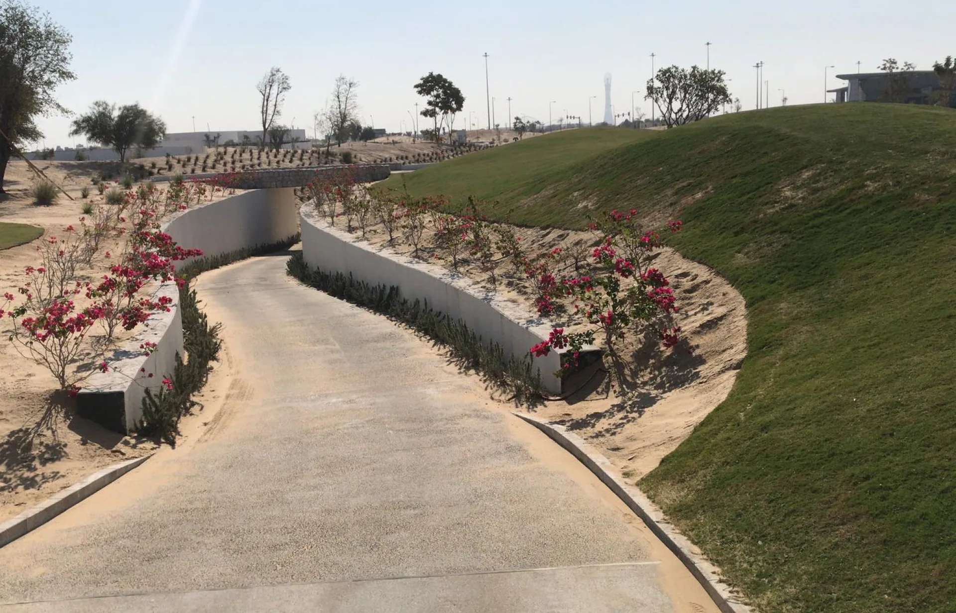 Education City Golf Course 